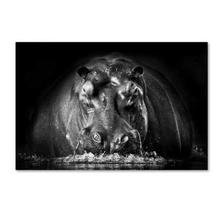 Trademark Fine Art Gorazd Golob 'Power' Canvas Art, 30x47 1X03923-C3047GG